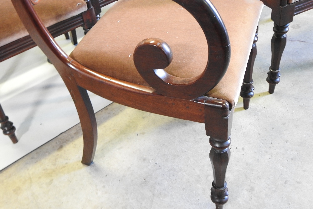 A set of eight William IV carved mahogany dining chairs, each having a bar back and drop in seat, - Image 2 of 7