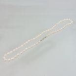 A cultured pearl necklace,