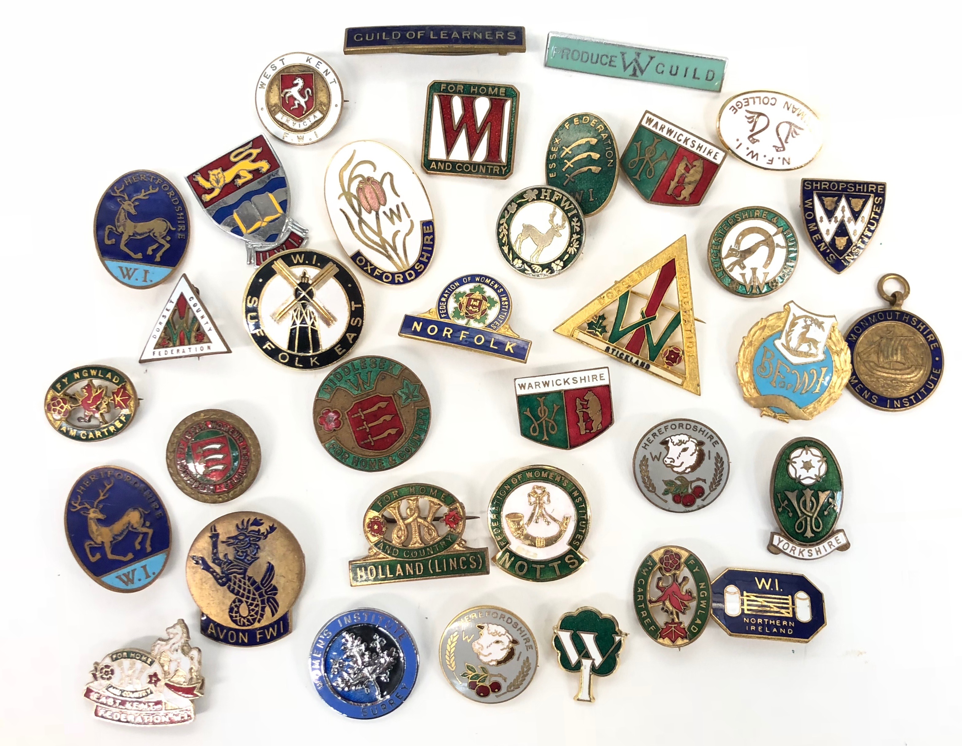 Selection of Woman Institute, Lapel Badges etc.