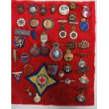 Selection of Various Lapel Badges