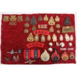 Selection of RAOC Badges