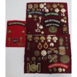 Selection of Guards Badges