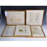 Four framed 19th century botanical watercolours plus one other. (5)
