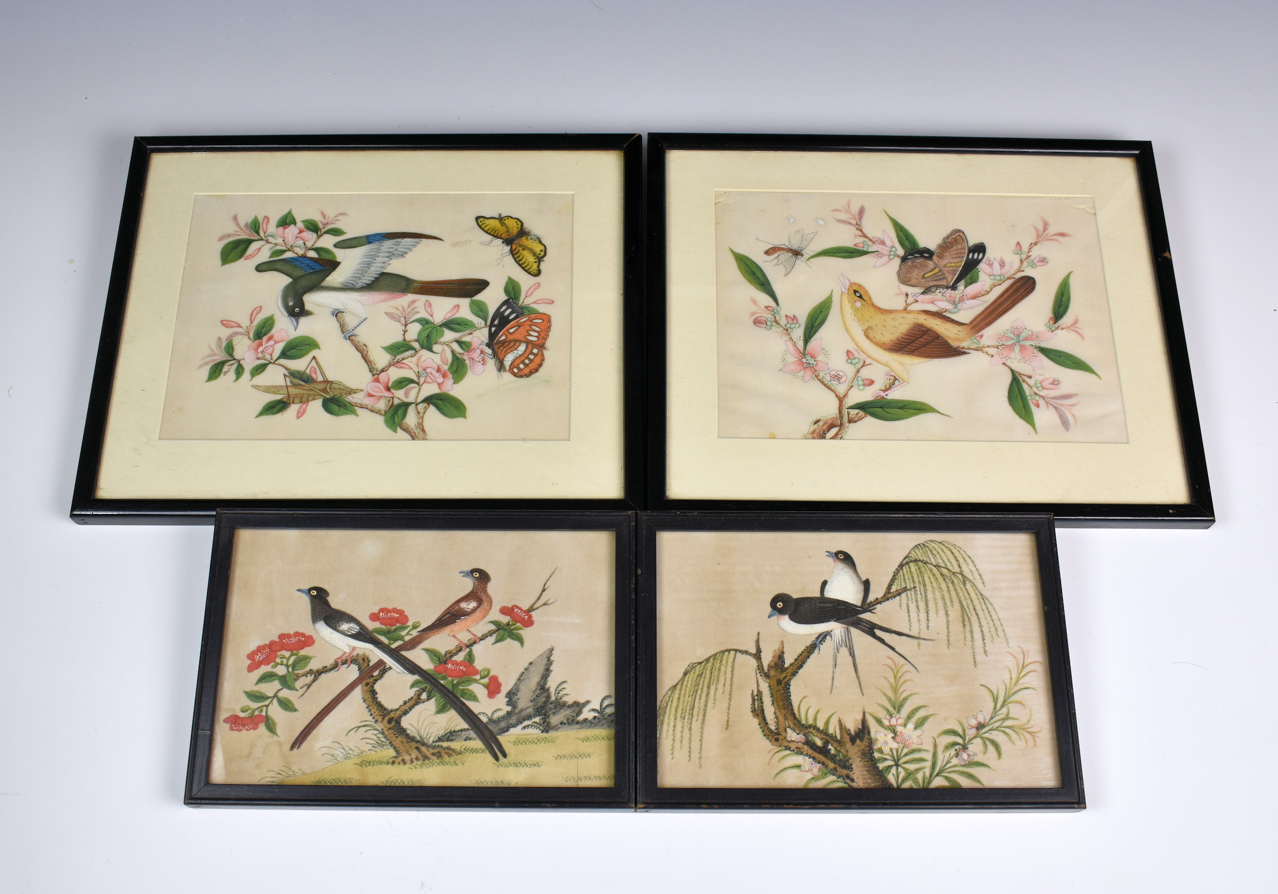 A set of four Chinese watercolour studies of birds & insects on pith paper, probably 18th / 19th