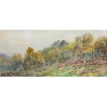 William John Caparne (British, 1856-1940), " Trees Devonshire Autumn Tints " , watercolour, signed