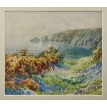 William John Caparne (British, 1856-1940), 'Bluebells and Gorse, Guernsey cliffs' , watercolour,