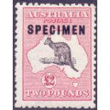 AUSTRALIAN STAMPS : 1915 GV £2 Black and Rose, lightly mounted mint example, over printed SPECIMEN.