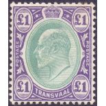 STAMPS : TRANSVAAL 1903 £1 Green and Vio