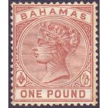 BAHAMAS STAMPS 1884 £1 Venetian Red, very lightly mounted mint ,
