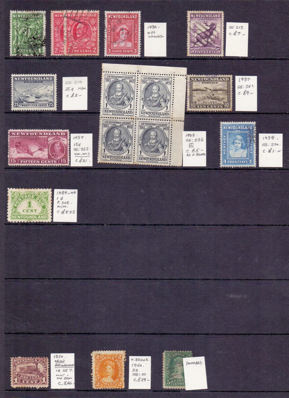 NEWFOUNDLAND STAMPS Accumulation on two stock pages with a range of mostly used issues. - Image 2 of 2