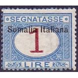 SOMALIA, Postage Due, 1909-20 1m with opt near top of stamp, M/M, SG D35.