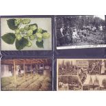 POSTCARDS : HOP-PICKING, collection of 115 cards in album, many photographic cards.