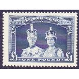 AUSTRALIA STAMPS : 1938 £1 Bluish Slate,