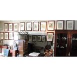 Edith O Somerville Complete Set of Twenty Alphabet Hunting Prints Contained within Walnut Frames