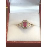 9 Carat Gold Mounted Diamond and Ruby Decorated Ladies Ring