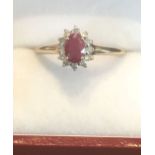 9 Carat Gold Mounted Ruby and Diamond Cluster Ring