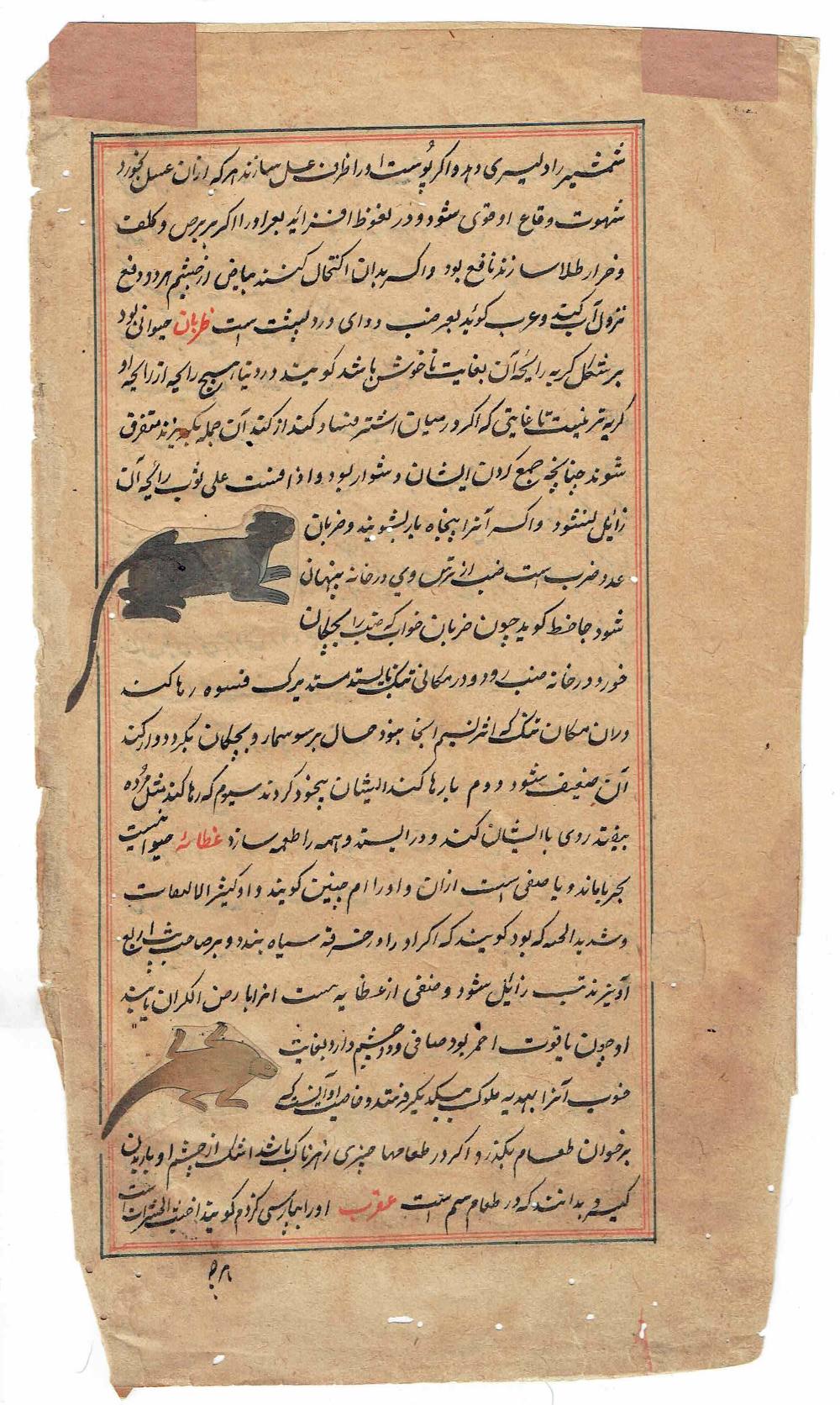 FOUR INDIAN MANUSCRIPT FOLIOS, INDIA, CIRCA 18TH CENTURYink and gouache on paper, comprising three - Image 6 of 8