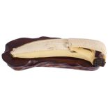 ˜A JAPANESE CARVED IVORY BANANA, EARLY 20TH CENTURY realistically carved and stained, the fruit