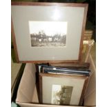 A selection of vintage framed photographs of horses