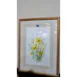 ALICE HUTTON: Study of daffodils. Signed. Watercolour 20'' x 12½''