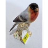 A Royal Worcester Bullfinch 2662. 6'' high