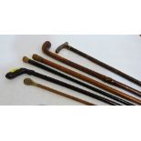 Six miscellaneous walking canes