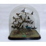 Vintage Taxidermy: A fine and unusual humming bird group, arranged naturalistically on branches,