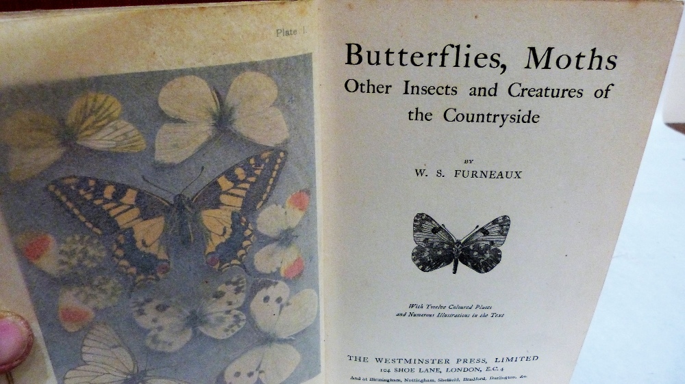 A volume, Butterflies, Moths, Other Insects and Creatures of the Countryside, W.S Furneaux