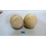 Two ostrich eggs