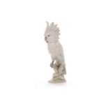 ROYAL DUX FIGURE OF A COCKATOO modelled perched on a branch, on a naturalistic base,