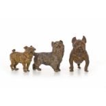 AUSTRIAN BRONZE OF A FRENCH BULLDOG stamped Geschutz to chest,