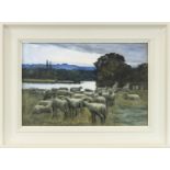 SHEEP BY A LOCH, CONTEMPORARY SCHOOL