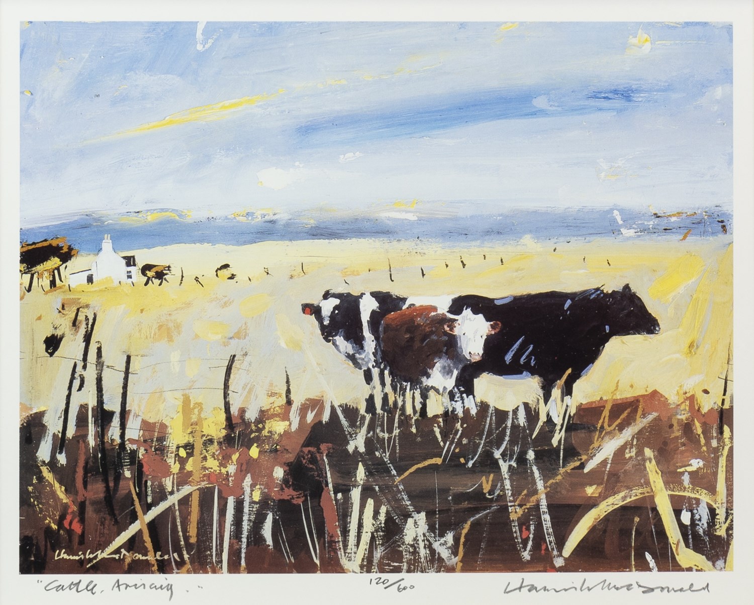 CATTLE, ARISAIG, A LIMITED EDITION LITHOGRAPHIC PRINT BY HAMISH MACDONALD