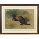 THE SCOTTISH POLECAT, A LARGE AND RARE ORIGINAL WATERCOLOUR BY ARCHIBALD THORBURN