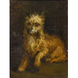 PORTRAIT OF A DOG