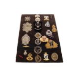 A BOARD OF MOSTLY SCOTTISH CAP BADGES