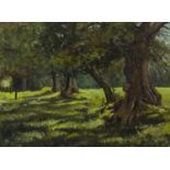 A SUMMER FOREST, AN OIL ON BOARD BY DOUGLAS LENNOX