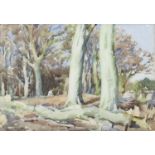 FIGURE SEATED IN A WOOD, A WATERCOLOUR BY DAVID FOGGIE