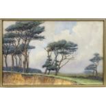 SCOTCH FIRS, A WATERCOLOUR BY LAWRENCE LINNELL