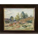 AUTUMN IN THE CATSKILLS, A WATERCOLOUR BY JERVIS MCENTEE