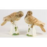 A PAIR OF CROWN STAFFORDSHIRE PORCELAIN MODELS OF HAWK OWLS, DESIGNED BY M DOUBELL MILLER, PERCHED