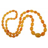 A\ NECKLACE OF FIFTY THREE AMBER BEADS 118g