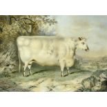 JOHN WEST GILES (FL 1830-1864) AFTER HENRY STRAFORD (FL 1833-1873) A SHORT HORNED PRIZE OX BRED