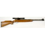 A .22 AIR RIFLE