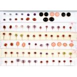 FORTY PAIRS OF 14CT CABOCHON AND GEM SET EARRINGS