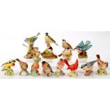 TWELVE ROYAL WORCESTER MODELS OF BIRDS AND TWO GROUPS, VARIOUS SIZES, PRINTED MARK, C1960