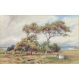 WILLIAM R HOYLES, CATTLE IN A FIELD, SIGNED, WATERCOLOUR, EARLY 20TH C, 24 X 40CM