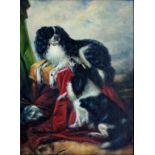 ENGLISH SCHOOL, 20TH C, KING CHARLES SPANIELS, SIGNED WITH MONOGRAM TSL, OIL ON CANVAS, 40 X 29CM, J