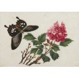 AN ALBUM OF SIX CHINESE RICE PICTURES OF FLOWERS AND INSECTS, QING DYNASTY, 19TH C woven silk