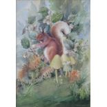 C. HARRY ADAMS, RED SQUIRREL, SIGNED, WATERCOLOUR, 23 X 33CM, MICHAEL CRAWLEY, DOVEDALE IN WINTER,